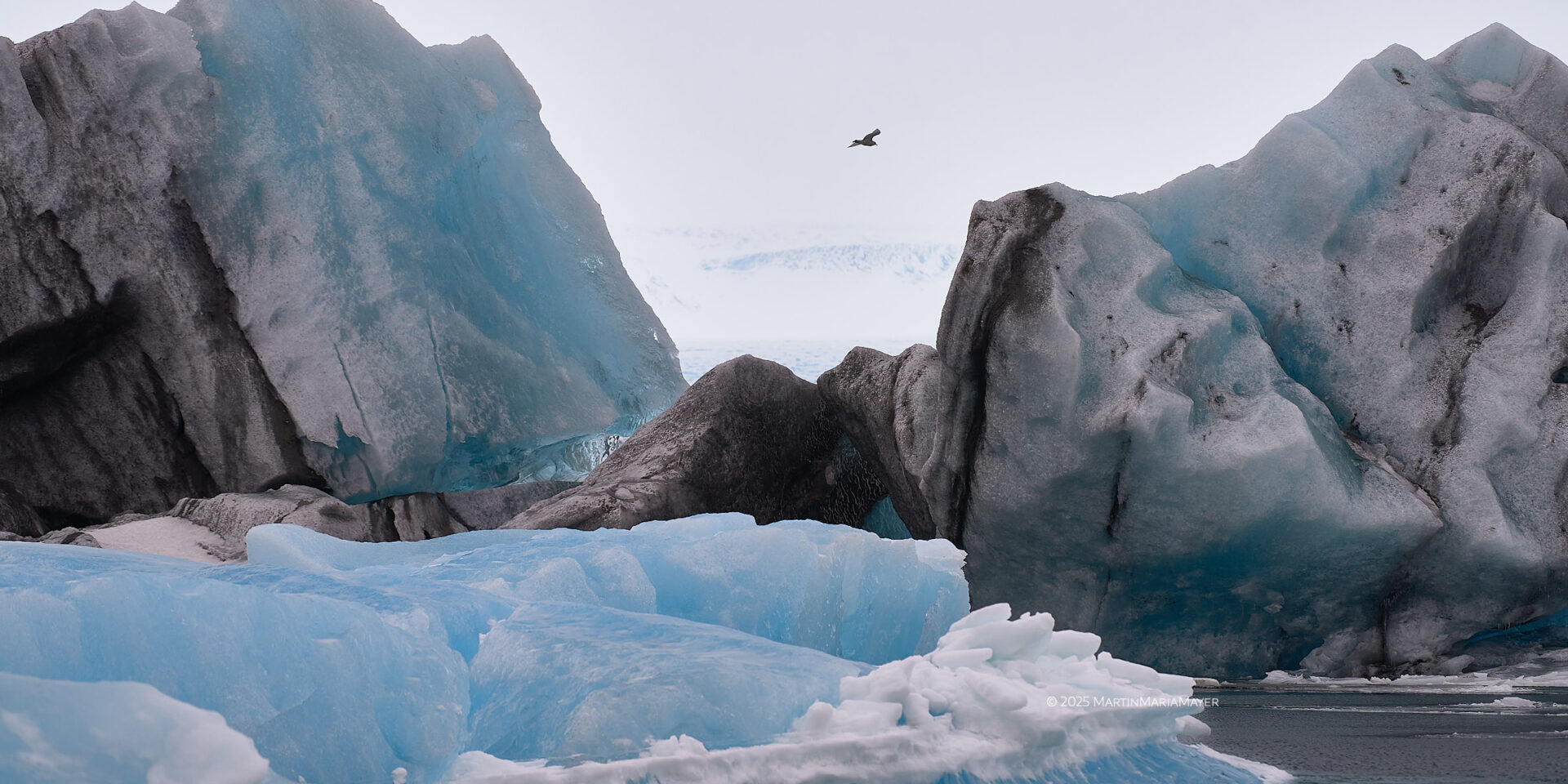 Ein Seevogel fliegt über türkis leuchtendes Gletschereis in der Jökulsárlón Gletscherlagune in Island.