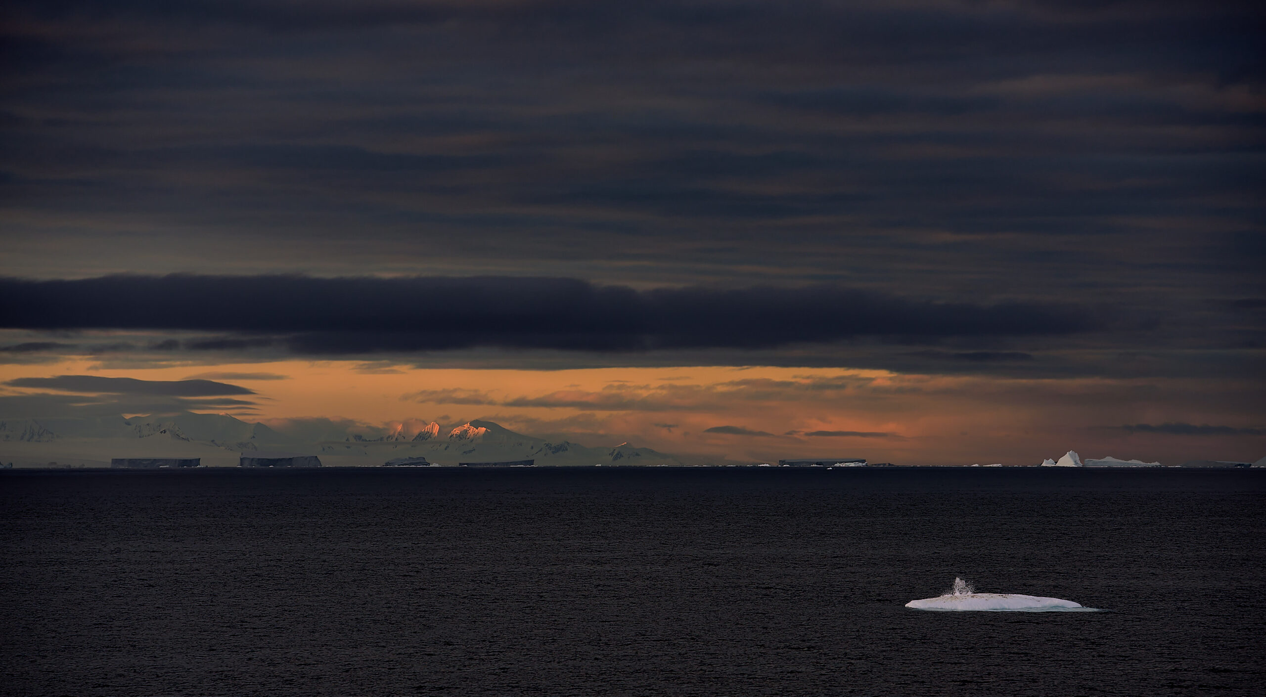 On Iceberg Alley, the skyline of the Antarctic Peninsula at dawn as the sun rises.