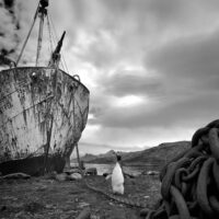 b-w_161206_75M_6666-0582