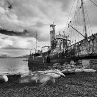 b-w_161206_75M_6689-0583