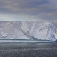 In stiller See am frühen Morgen, liegt nahe ein großer Tafeleisberg unter am Himmel rosa schimmernden Schäfchenwolken, am Horizont Land in goldenem Licht.