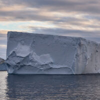 In stiller See am frühen Morgen, liegt nahe ein großer Tafeleisberg unter am Himmel rosa schimmernden Schäfchenwolken.