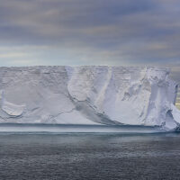 In stiller See am frühen Morgen, liegt nahe ein großer Tafeleisberg unter am Himmel rosa schimmernden Schäfchenwolken, am Horizont Land in goldenem Licht.