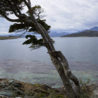 landscape-high_161129_75M_3221-0580