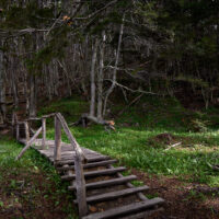 landscape-high_161129_75M_3235-0579