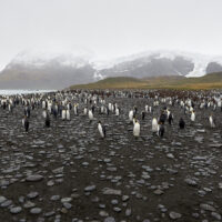 landscape-high_161208_75M_8041-0577