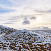 landscape-high_190227__M813967-0572