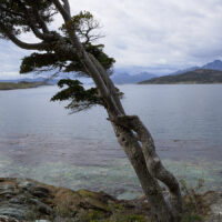 landscape-low_161129_75M_3221-0580