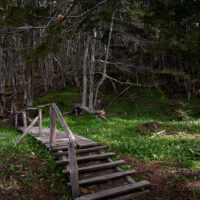 landscape-low_161129_75M_3235-0579