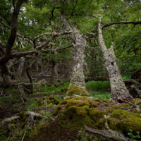 landscape-low_161129_75M_3290-0578