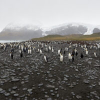 landscape-low_161208_75M_8041-0577