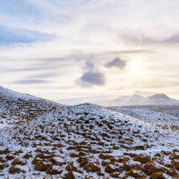 landscape-low_190227__M813967-0572