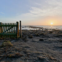 Eine verlassene, einsame Zauntür am Ufer des Wattenmeeres vor der untergehenden Sonne.